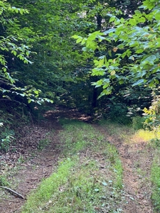 Recreational & Hunting Land For Sale in Hancock County, TN - image 18