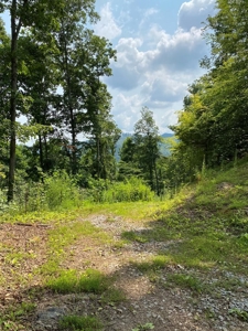 Recreational & Hunting Land For Sale in Hancock County, TN - image 48