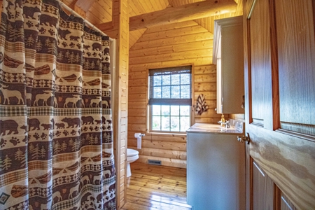 Beautiful Log Home for Sale Anamosa Iowa - image 13