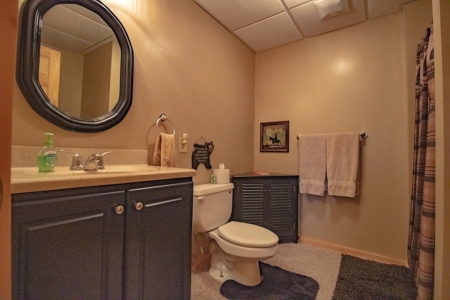 Beautiful Log Home for Sale Anamosa Iowa - image 19