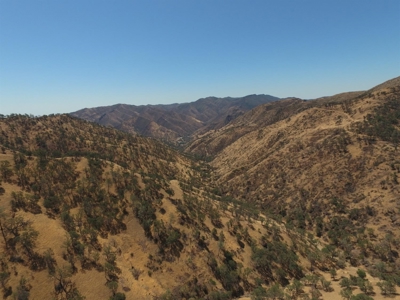 Northern California Realtree Hunting Properties For Sale - image 7