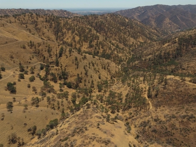 Northern California Realtree Hunting Properties For Sale - image 12