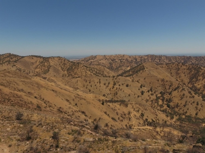 Northern California Realtree Hunting Properties For Sale - image 24