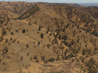Northern California Realtree Hunting Properties For Sale - image 13
