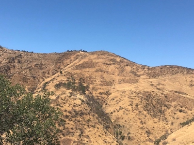 Northern California Realtree Hunting Properties For Sale - image 4
