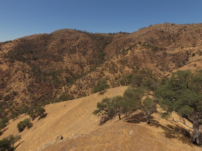 Northern California Realtree Hunting Properties For Sale - image 14