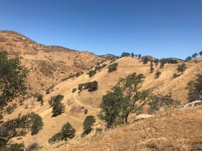 Northern California Realtree Hunting Properties For Sale - image 2