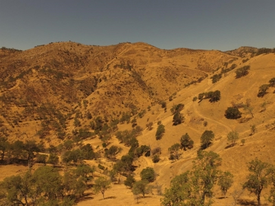 Northern California Realtree Hunting Properties For Sale - image 6