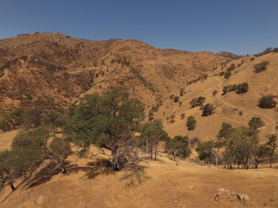 Northern California Realtree Hunting Properties For Sale - image 15