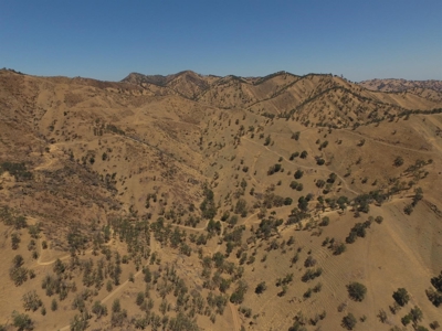 Northern California Realtree Hunting Properties For Sale - image 10