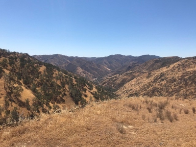 Northern California Realtree Hunting Properties For Sale - image 3