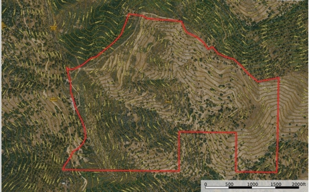 Northern California Realtree Hunting Properties For Sale - image 29