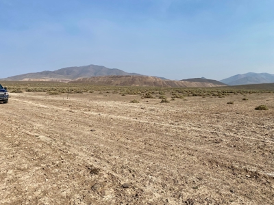 Land for Sale Near Valmy, Nevada - image 7