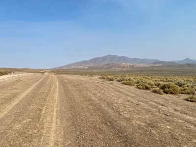Land for Sale Near Valmy, Nevada - image 16