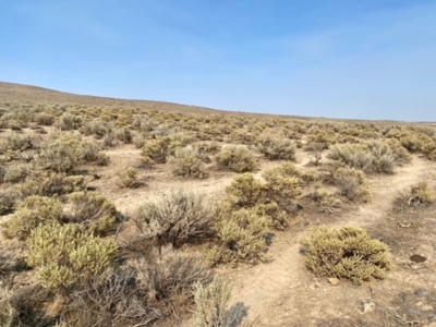 Land for Sale Near Valmy, Nevada - image 19