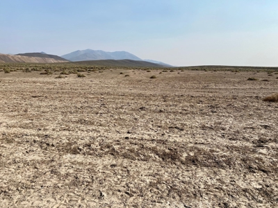 Land for Sale Near Valmy, Nevada - image 5