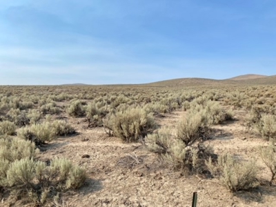 Land for Sale Near Valmy, Nevada - image 13
