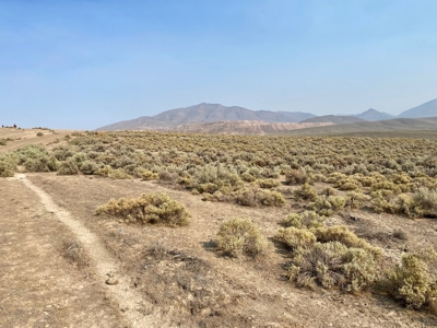 Land for Sale Near Valmy, Nevada - image 12