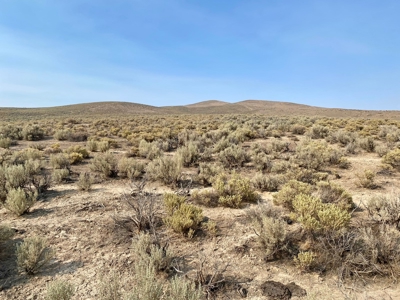 Land for Sale Near Valmy, Nevada - image 17