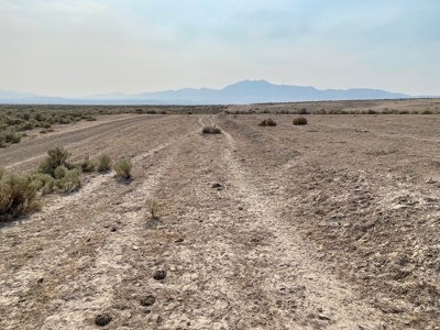 Land for Sale Near Valmy, Nevada - image 10