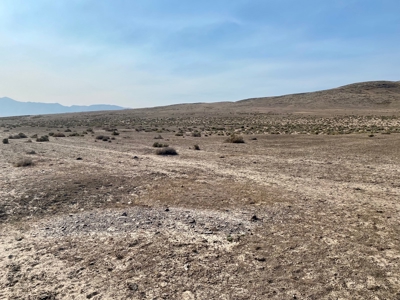 Land for Sale Near Valmy, Nevada - image 2
