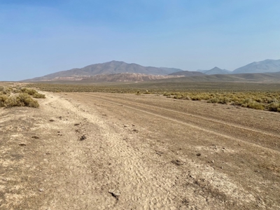 Land for Sale Near Valmy, Nevada - image 20