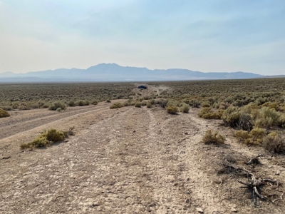 Land for Sale Near Valmy, Nevada - image 22