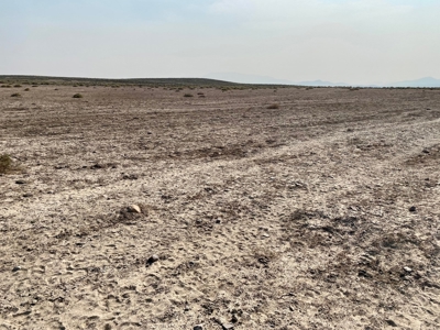 Land for Sale Near Valmy, Nevada - image 4