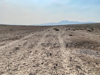 Land for Sale Near Valmy, Nevada - image 3