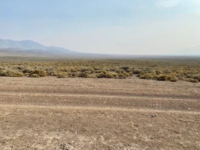 Land for Sale Near Valmy, Nevada - image 21