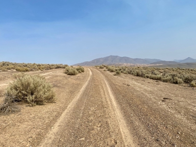 Land for Sale Near Valmy, Nevada - image 15