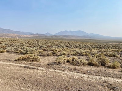 Land for Sale Near Valmy, Nevada - image 11
