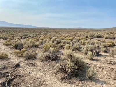 Land for Sale Near Valmy, Nevada - image 18