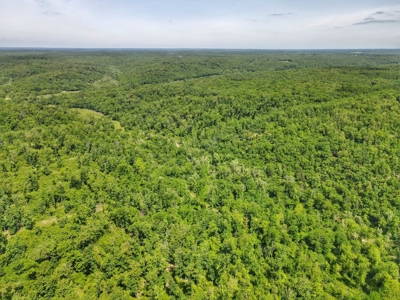 Land For Sale Missouri - image 26