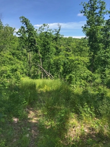 Land For Sale Missouri - image 20