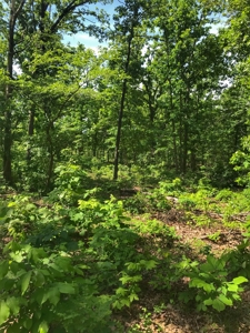 Land For Sale Missouri - image 17