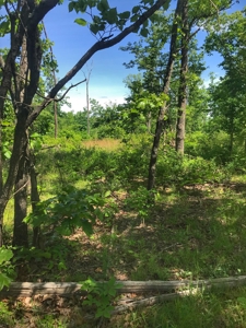 Land For Sale Missouri - image 16
