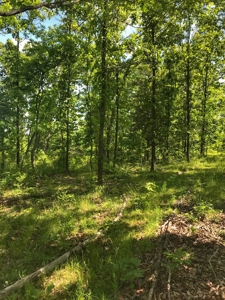Land For Sale Missouri - image 15
