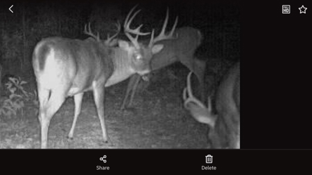 Land For Sale Missouri - image 31