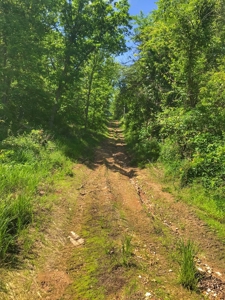 Land For Sale Missouri - image 10