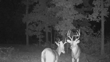 Land For Sale Missouri - image 32