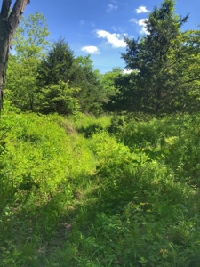 Land For Sale Missouri - image 12