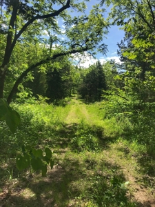Land For Sale Missouri - image 11