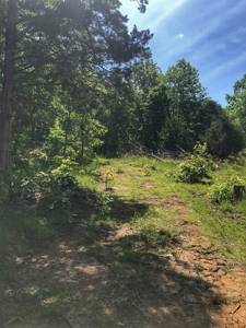 Land For Sale Missouri - image 14
