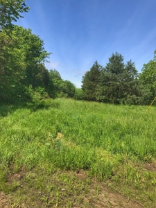 Land For Sale Missouri - image 9