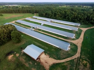 4 House Broiler Poultry Farm For Sale Southwest MS - image 24