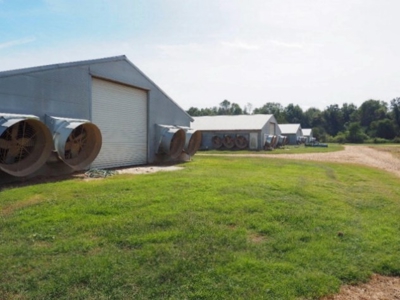 4 House Broiler Poultry Farm For Sale Southwest MS - image 8