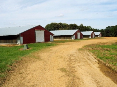 4 House Broiler Poultry Farm For Sale Southwest MS - image 9