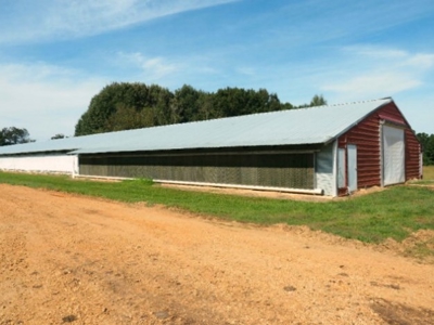 4 House Broiler Poultry Farm For Sale Southwest MS - image 11