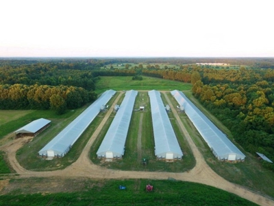 4 House Broiler Poultry Farm For Sale Southwest MS - image 2